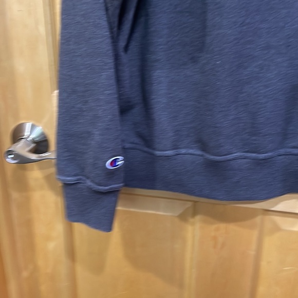 Champion gray hoodie sweatshirt size L - Picture 10 of 12